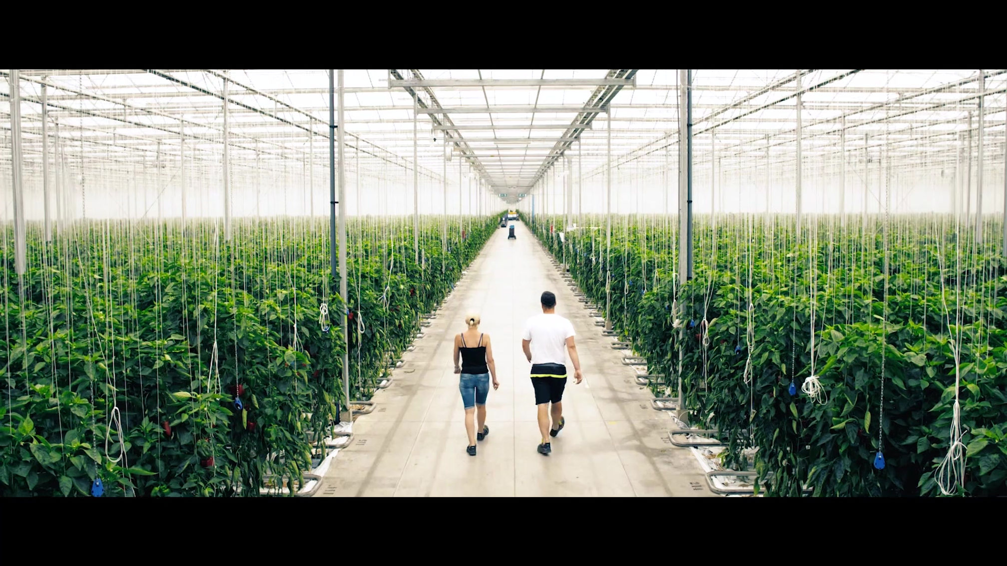 Wir sind Raiffeisen - Imagefilm